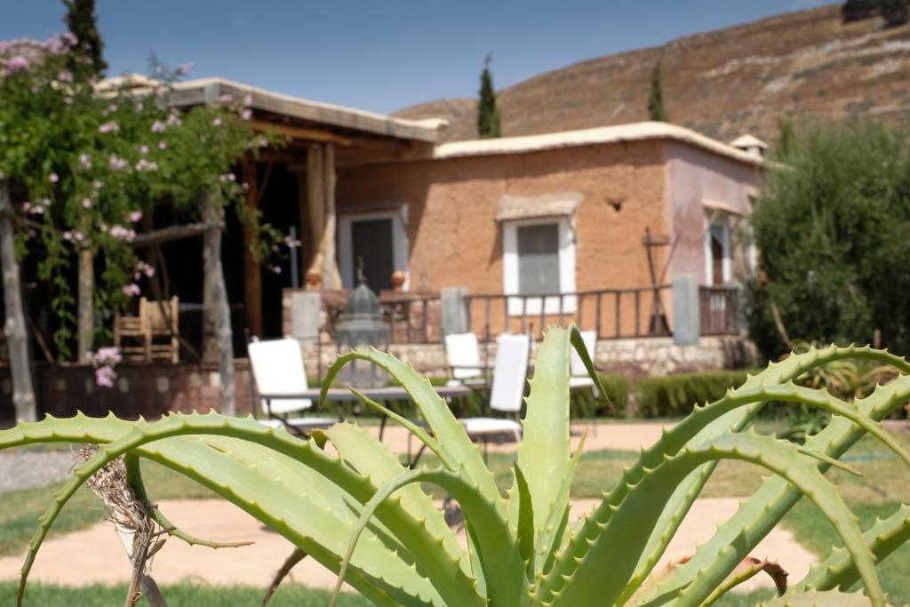 Le Douar Berbere photo 2