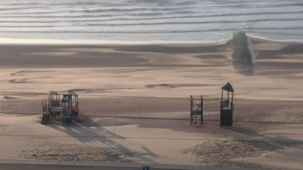 Studio apartment 'De Strandwandeling' with frontal sea view near Ostend photo 1