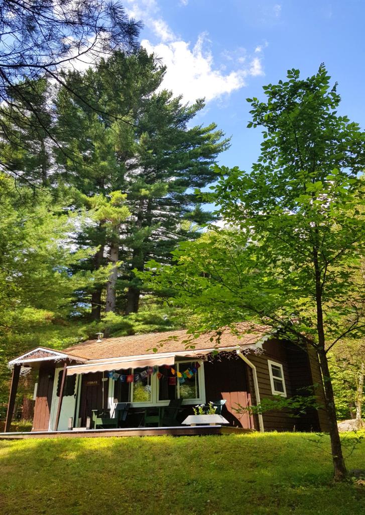 The Wilderness Inn: Chalets photo 4