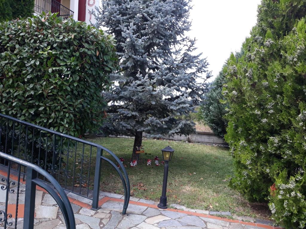 Hotel Kastro photo 3