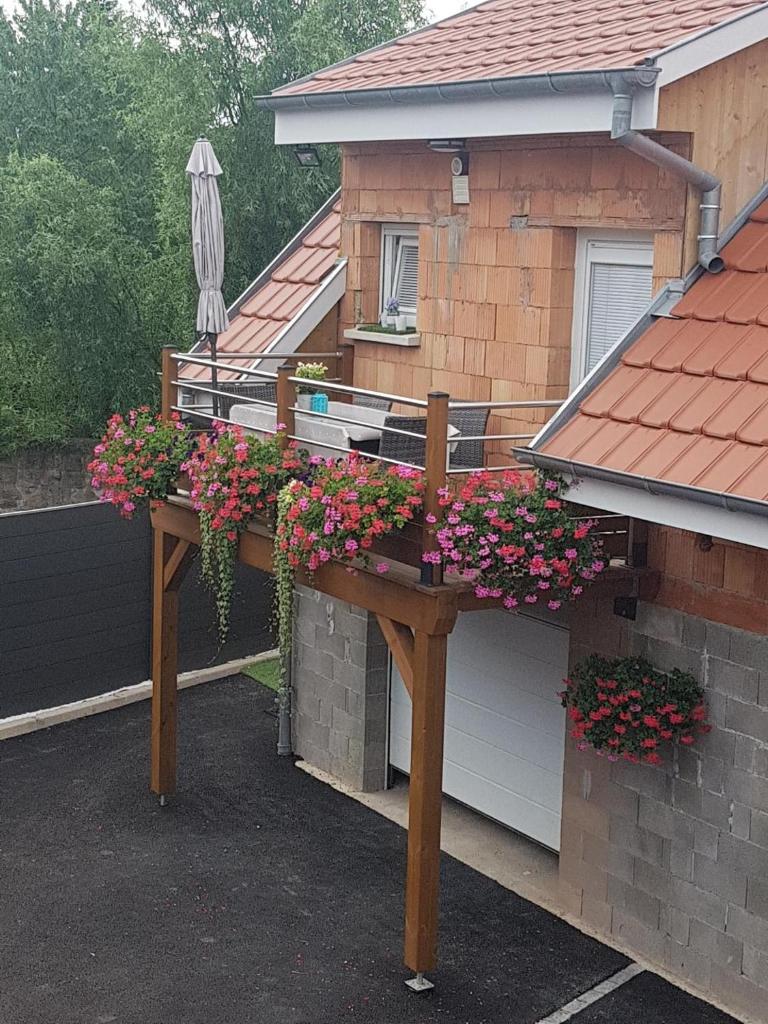 Gite au pré des Oies photo 3