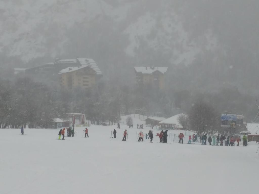 Bosque Nevado photo 3