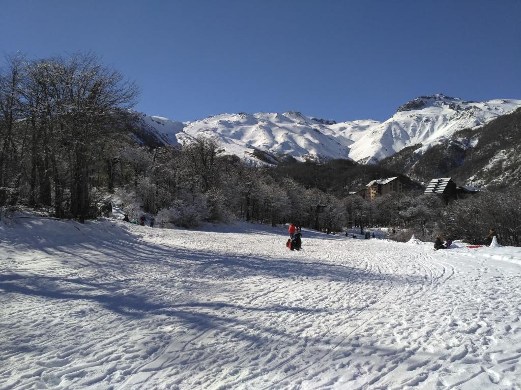 Bosque Nevado photo 2