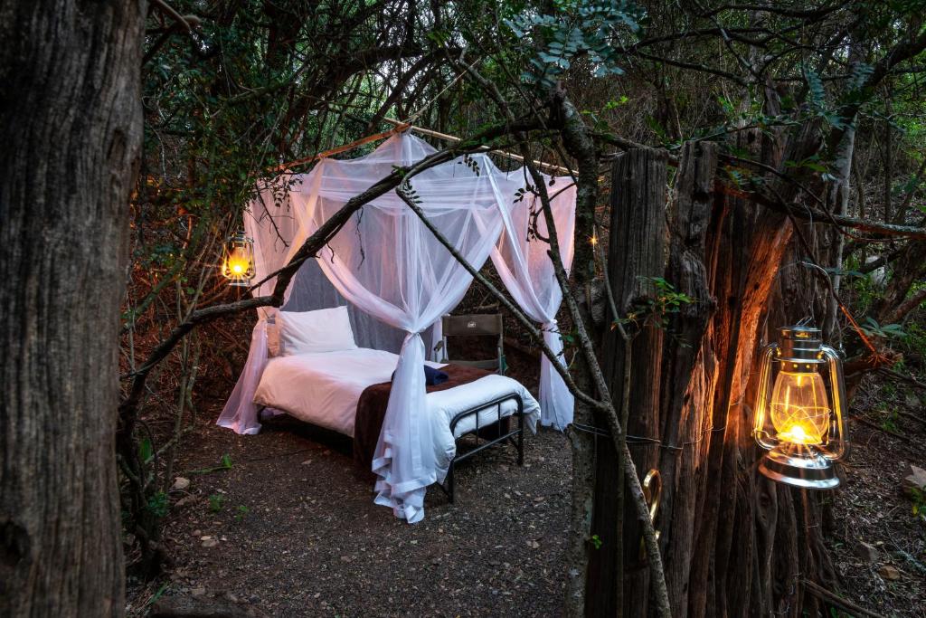 Glamping Safari Camp - Bellevue Forest Reserve photo 2