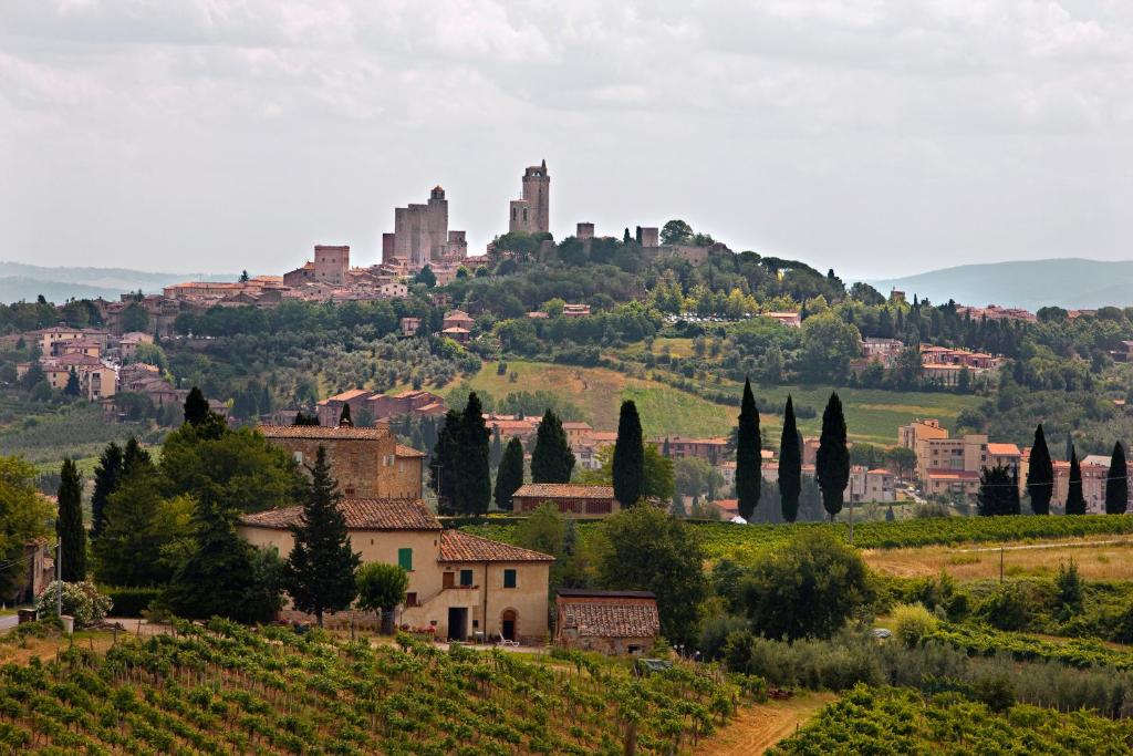 Tenuta delle Rose photo 3