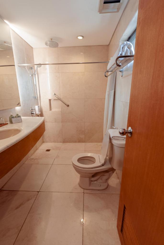 Двухместный (Стандартный двухместный номер с 1 кроватью, без окна), City Garden Suites