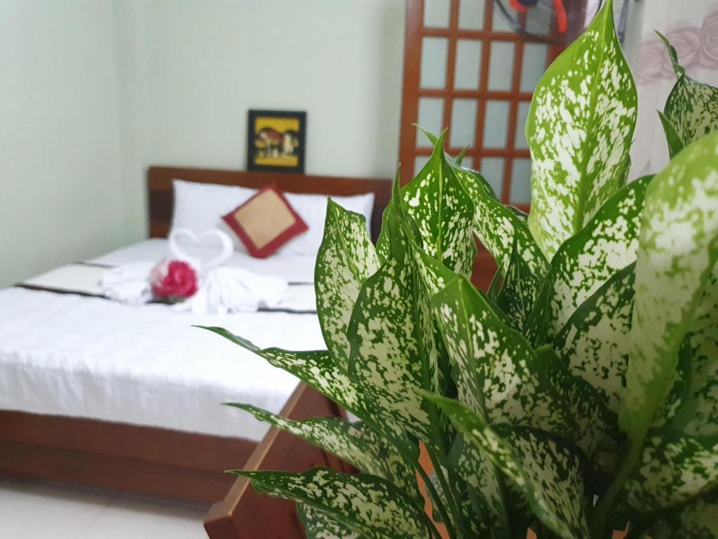Khách sạn Trường Sơn