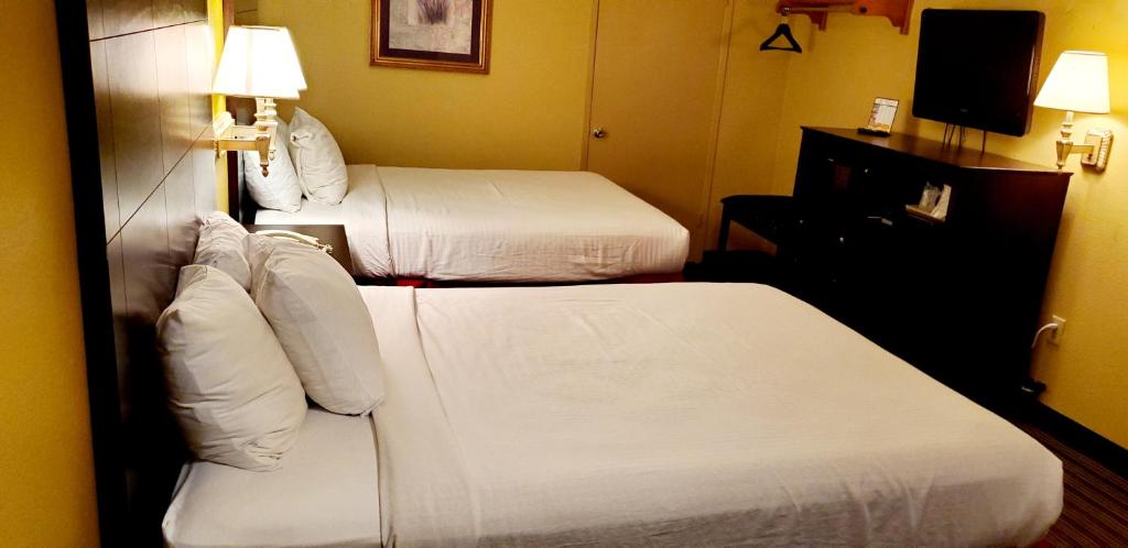 Sweet Dream Inn photo 4