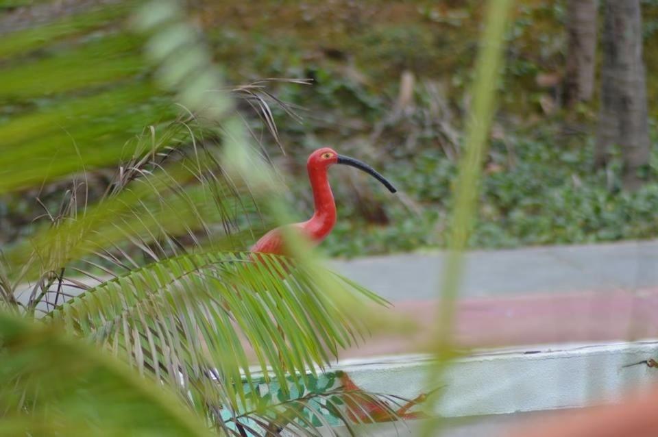 Pousada Maramazon photo 1