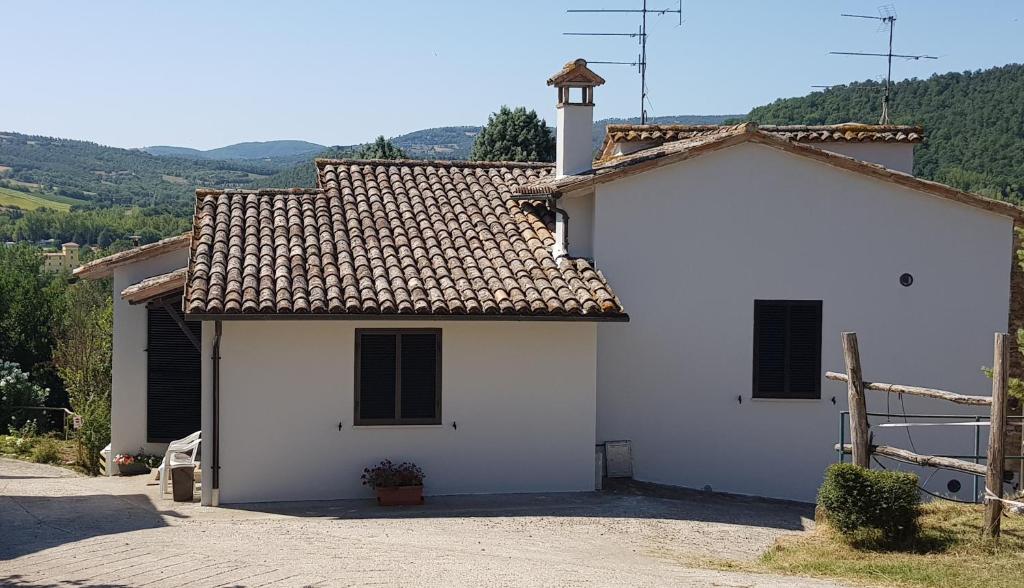 Case in campagna con piscina a Todi photo 4