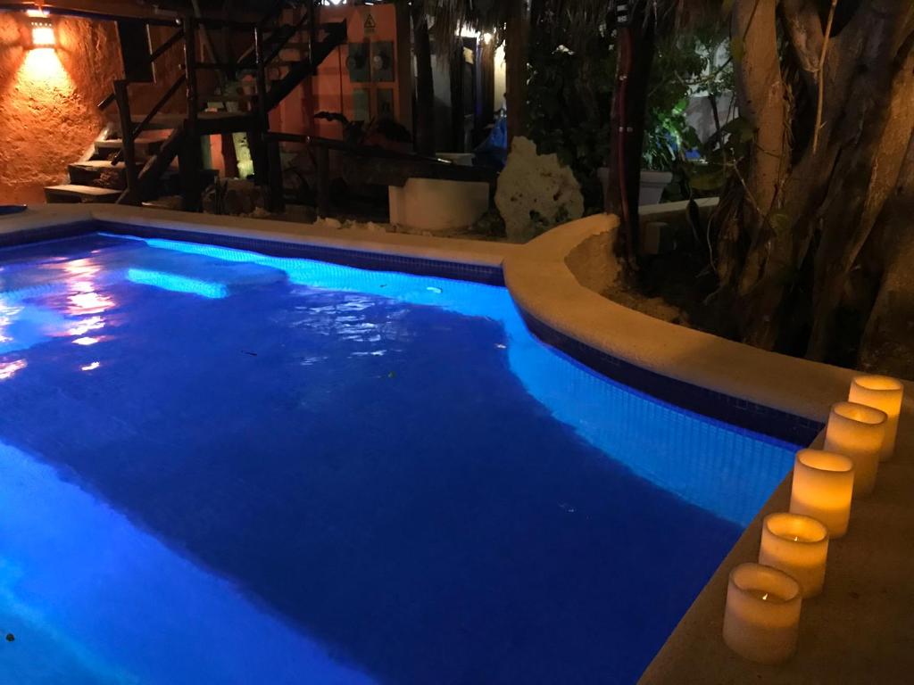 Hotel Amar Inn photo 3