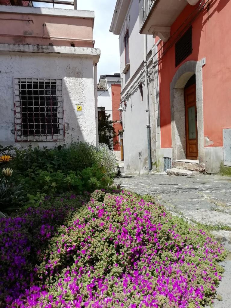 Melfi, città delle Costituzioni di Federico II - Casa vacanze photo 3