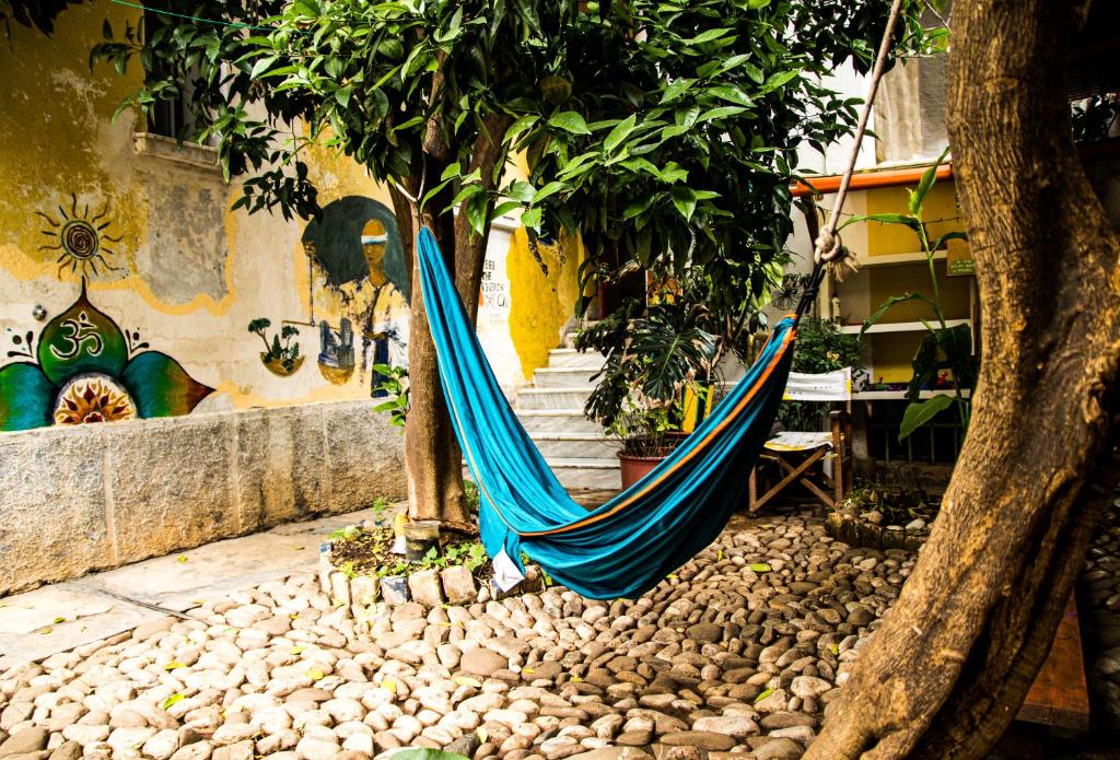Tirana Backpacker Hostel photo 2