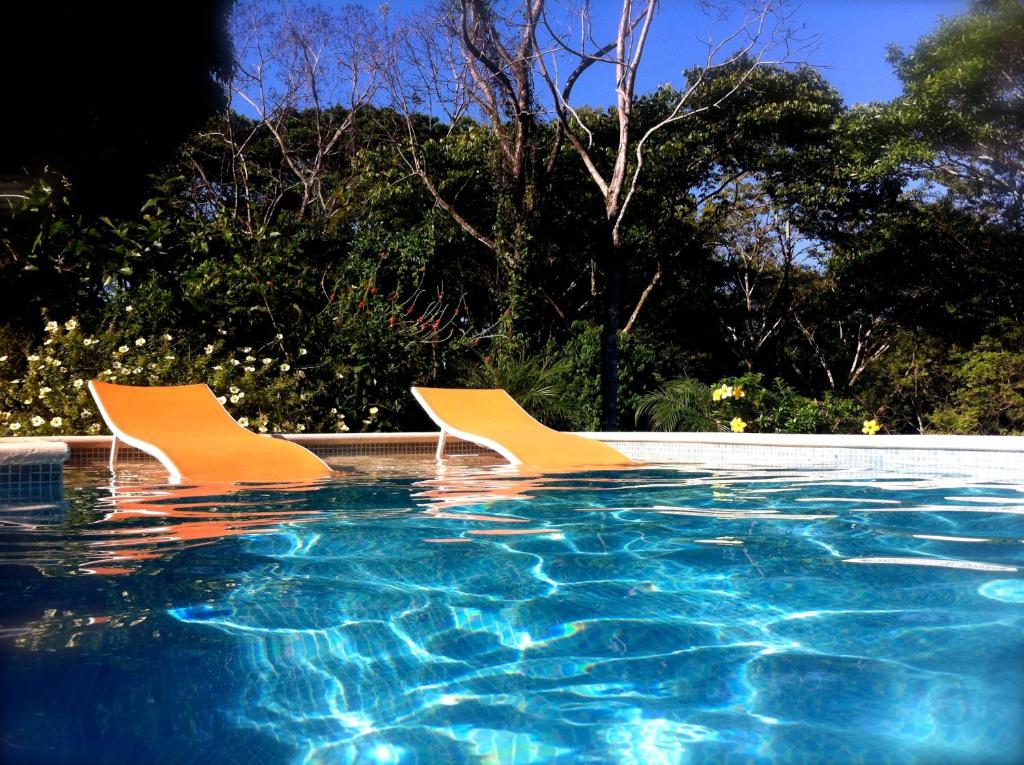 Tree of Life Cabinas photo 4