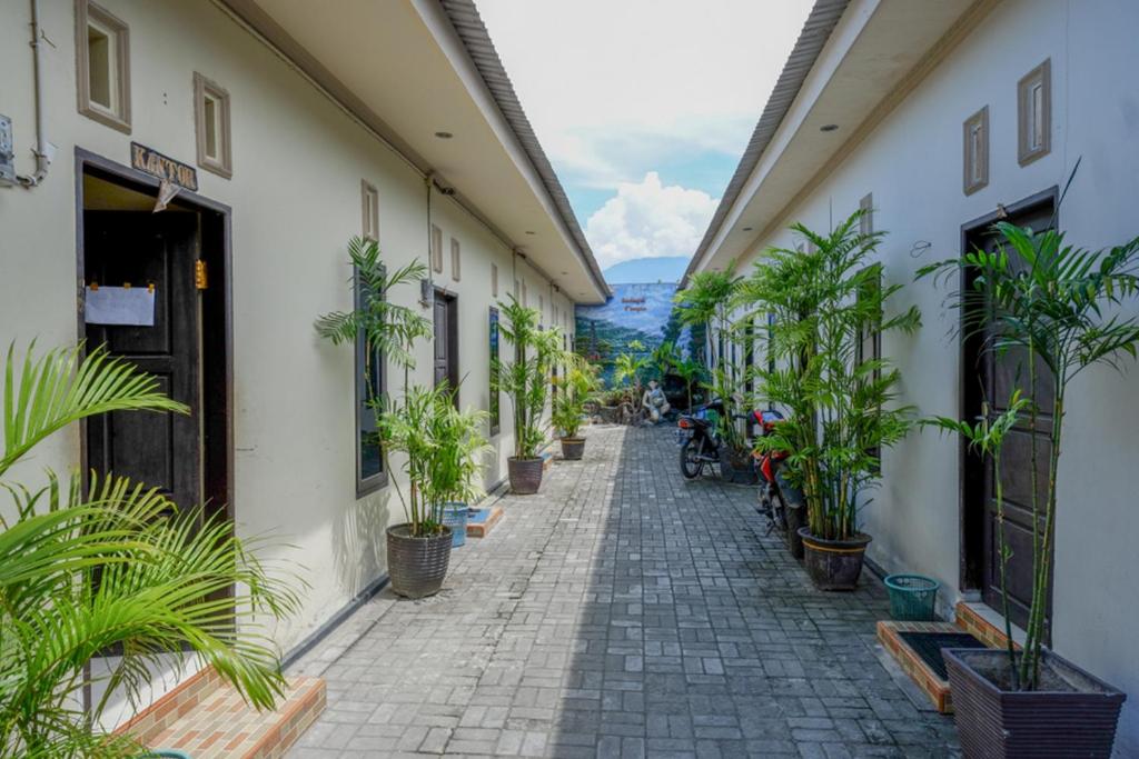 RedDoorz near Mutiara SIS Al Jufrie Airport Palu photo 3