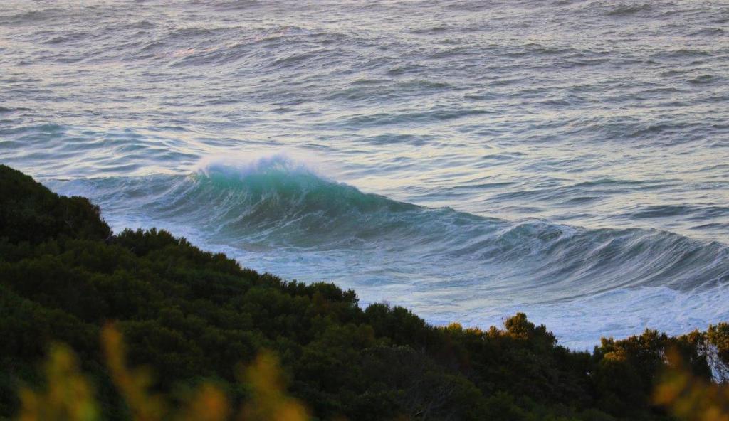 Anglers Paradise photo 3