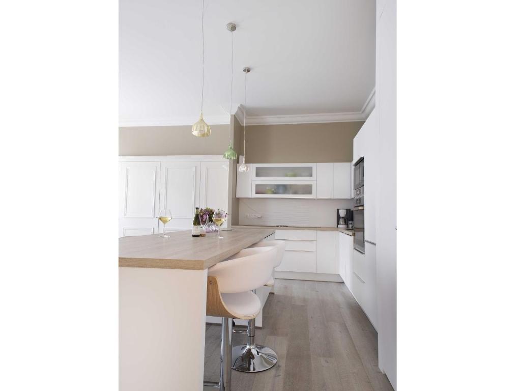Sasha bel appartement renove centre ville Beaune photo 4