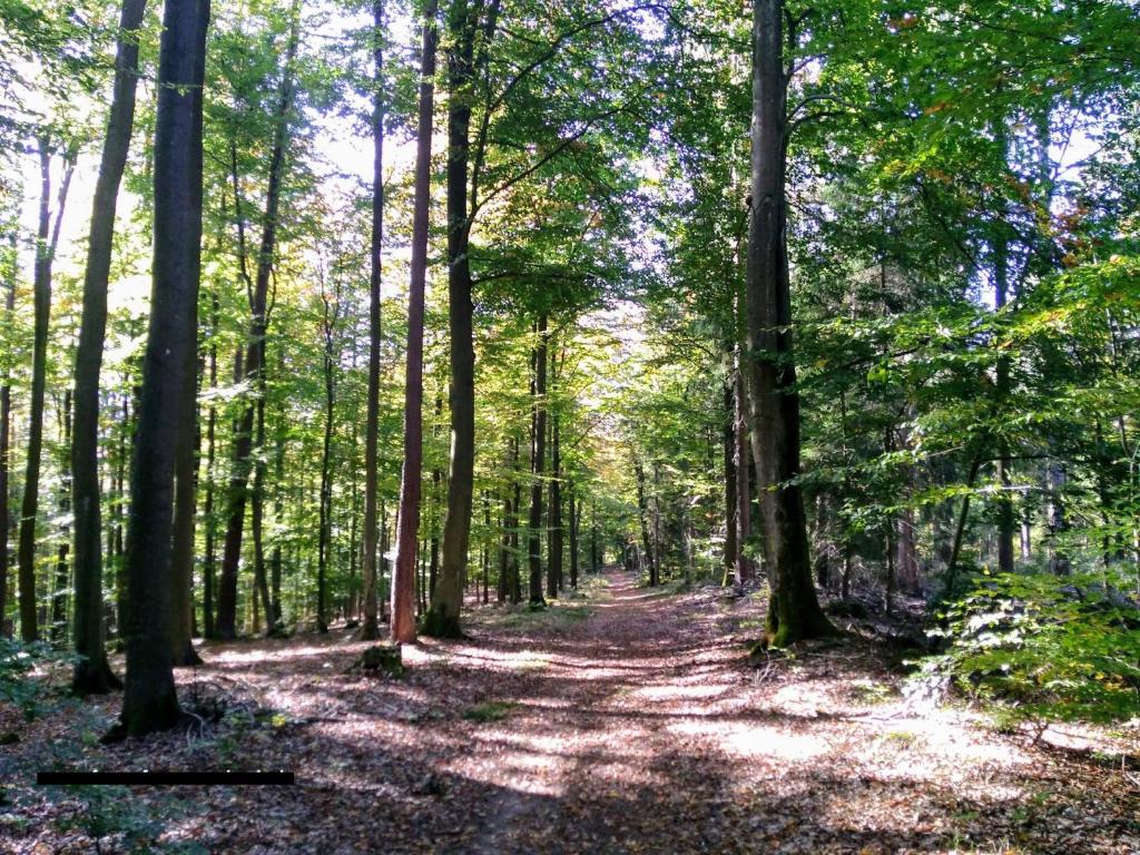 FEWO-Frammersbach photo 1