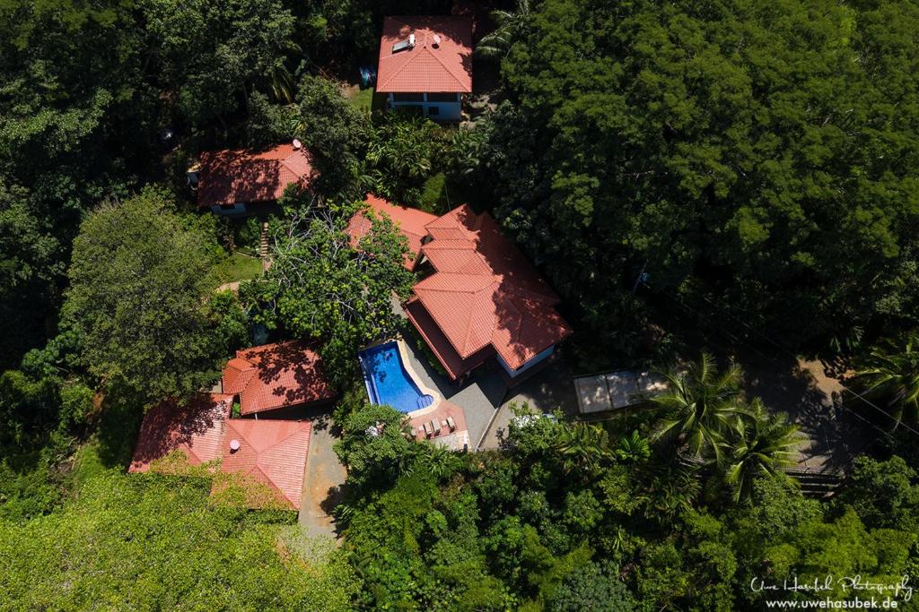 Casa del Toucan photo 2