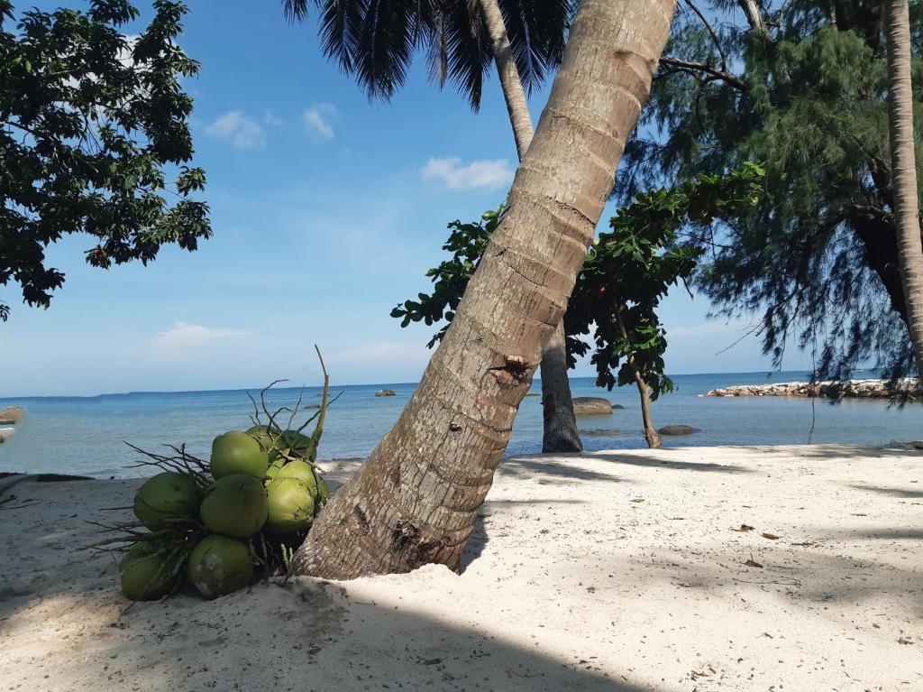 Cay Sao Beach Resort