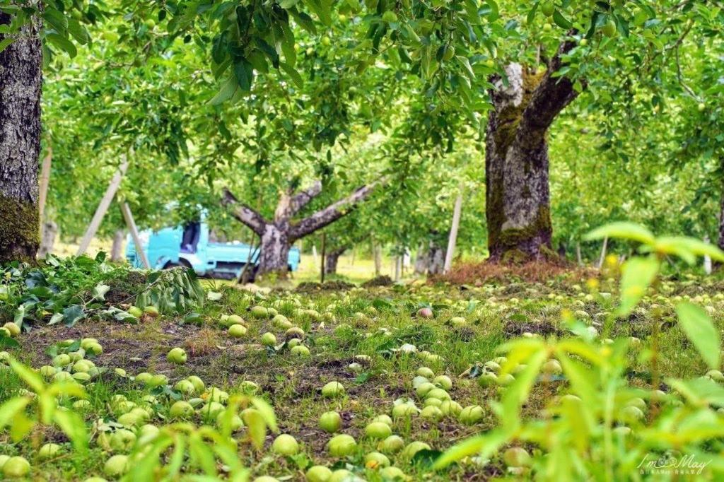 Daichan Farm Guest House photo 3