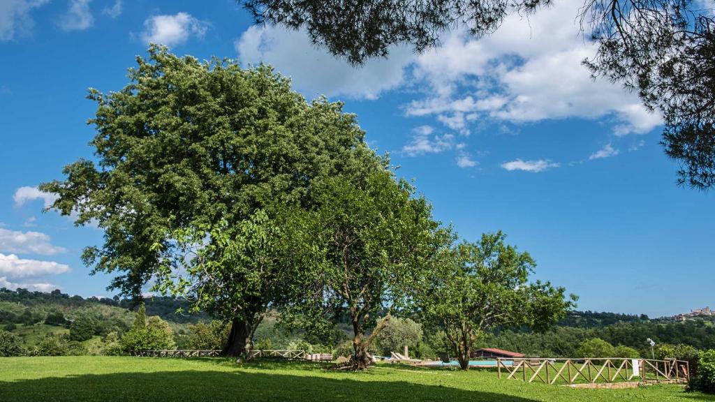 Agriturismo Bio Le Macchie Alte photo 4