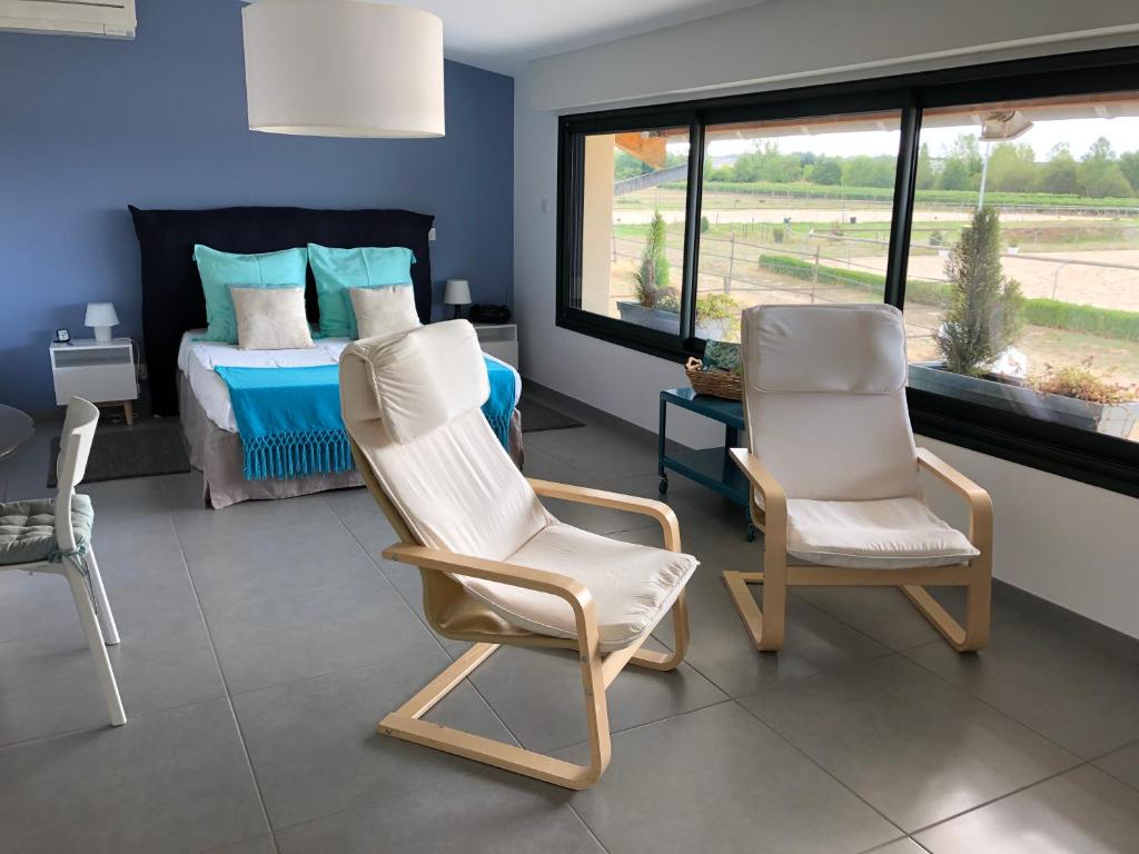 Gite-Grand studio contemporain proche Toulouse dans domaine Equestre photo 1