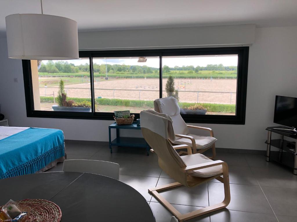 Gite-Grand studio contemporain proche Toulouse dans domaine Equestre photo 3