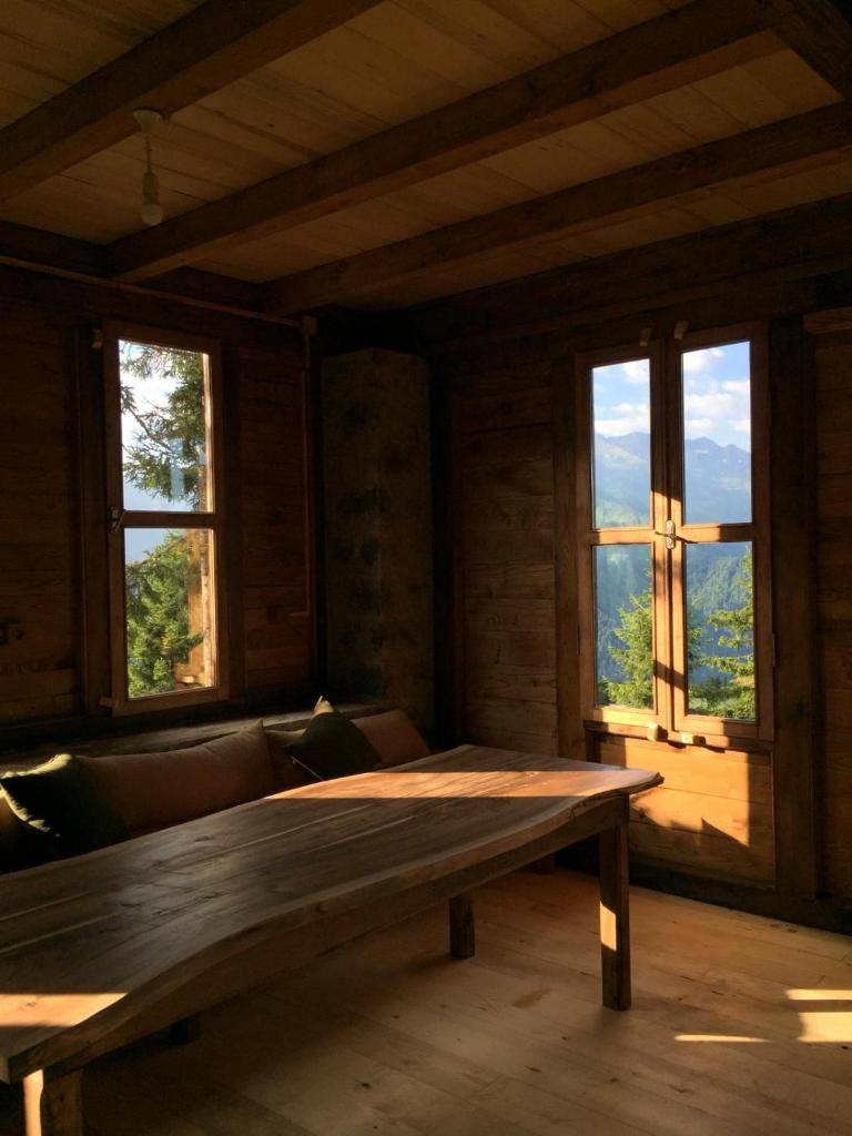 POKUT orion photo 4