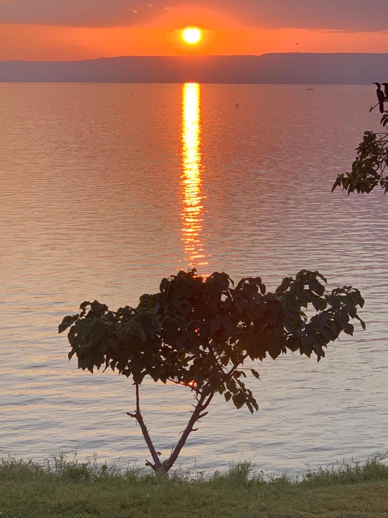 Samuka Island Retreat photo 4