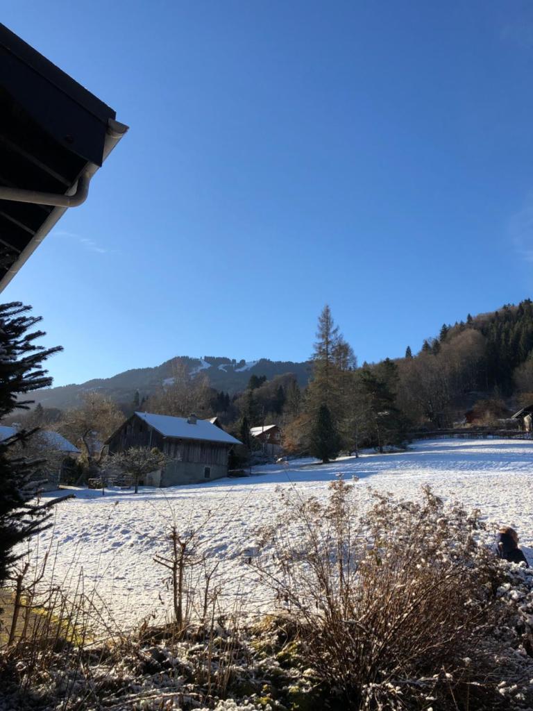 2 pièces avec terrasse Morillon Village photo 1