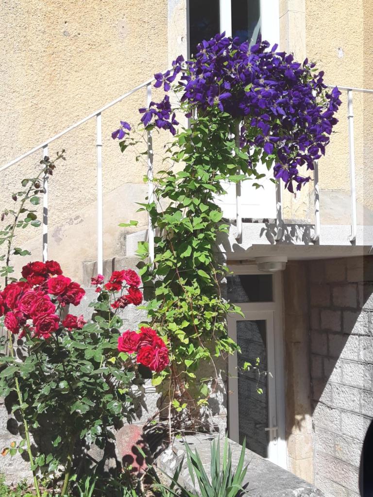 Gîte Moulin de la Serrée photo 3
