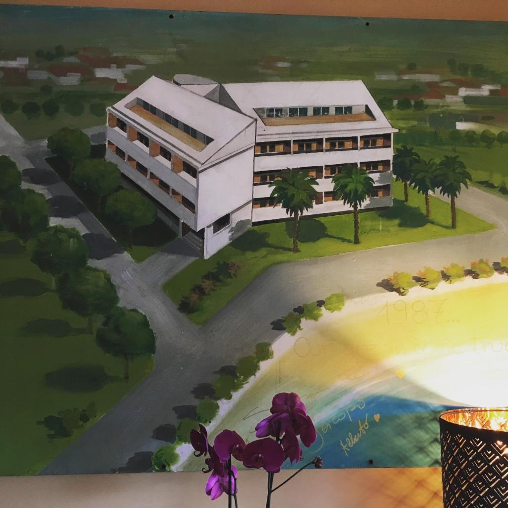Hotel Le Palme " Adults only " photo 1
