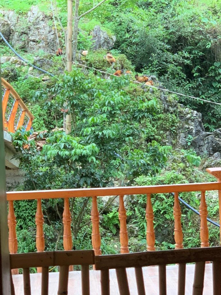 Ngườm Ngao Bản Giốc homestay