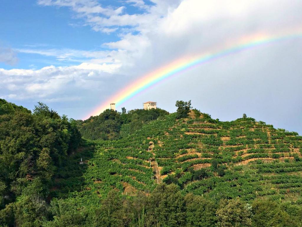 Le Vigne di Annalisa Sweet Relax Rooms in Unesco Prosecco D.o.c.g. photo 2
