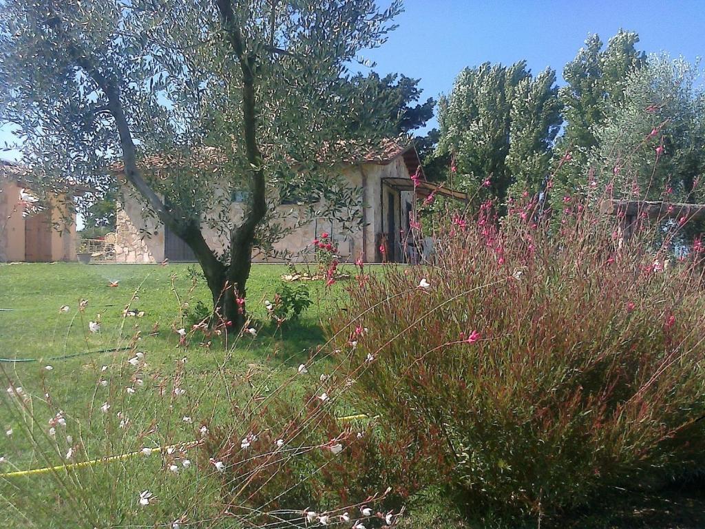 Casale Dinelli photo 4