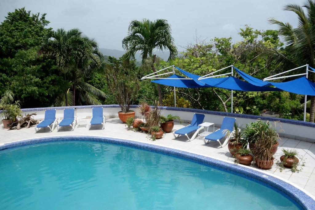 Hotel Mockingbird Hill photo 4