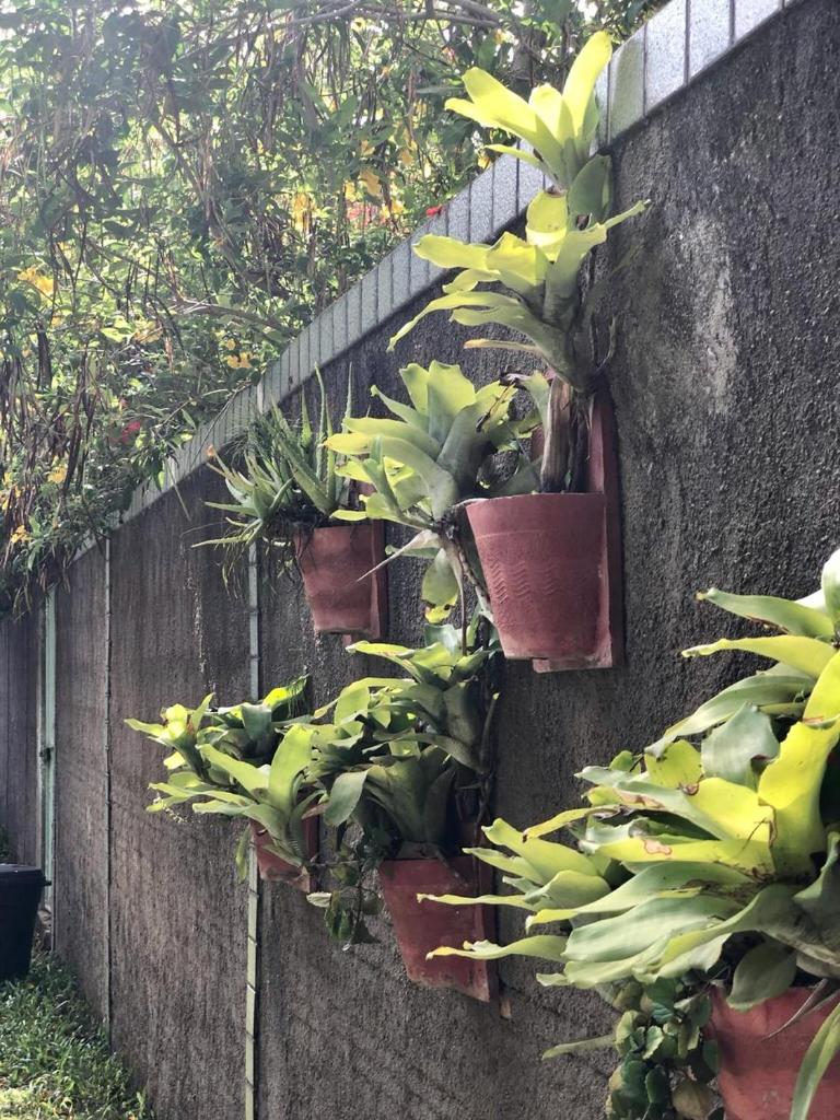 CASA BOUTIQUE MARACA Privativa photo 2