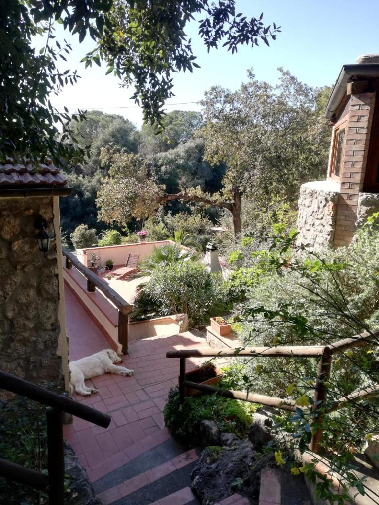 Villa Paradisino photo 1