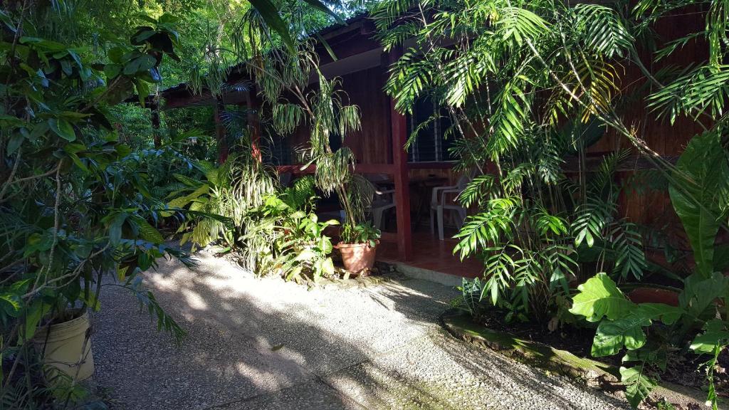 Guest house Posada Ixchel photo 3