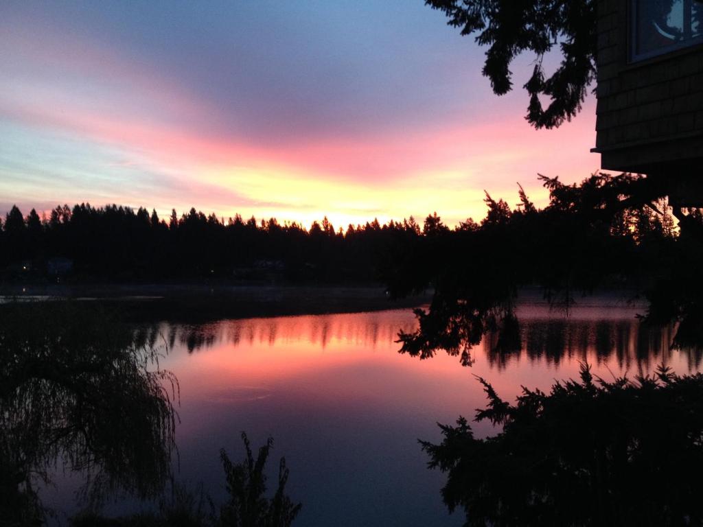 Cottage Lake Bed and Breakfast photo 4