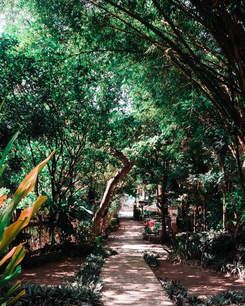 Oasis Balili Heritage Lodge photo 2