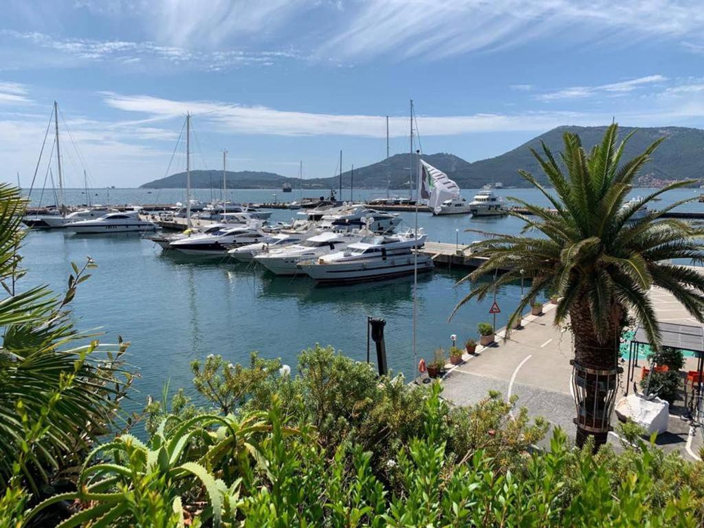 Casa MAGNOLIA, the gateway to 5 Terre and Lerici photo 3