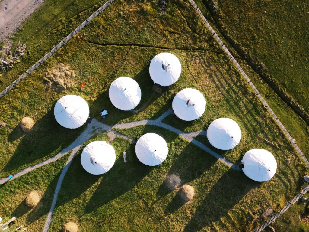 Jyrgalan Yurt Lodge photo 1