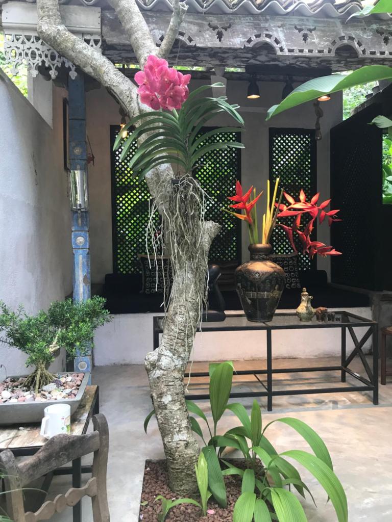 Indika's Residence photo 4