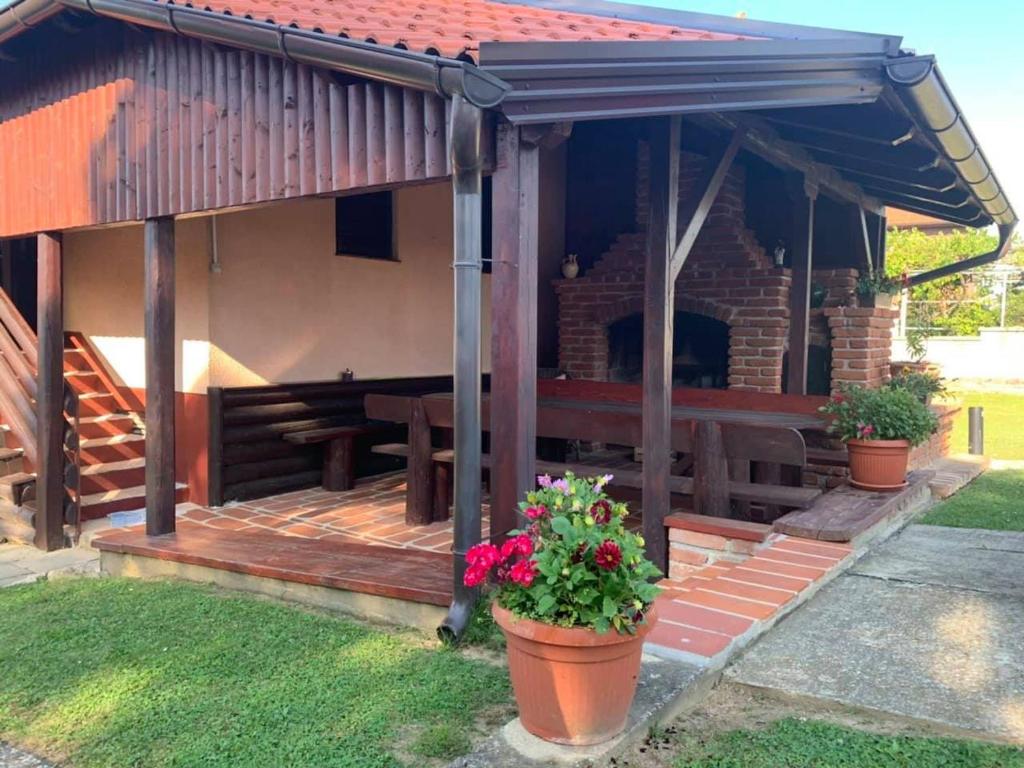 Vila Pajo photo 1