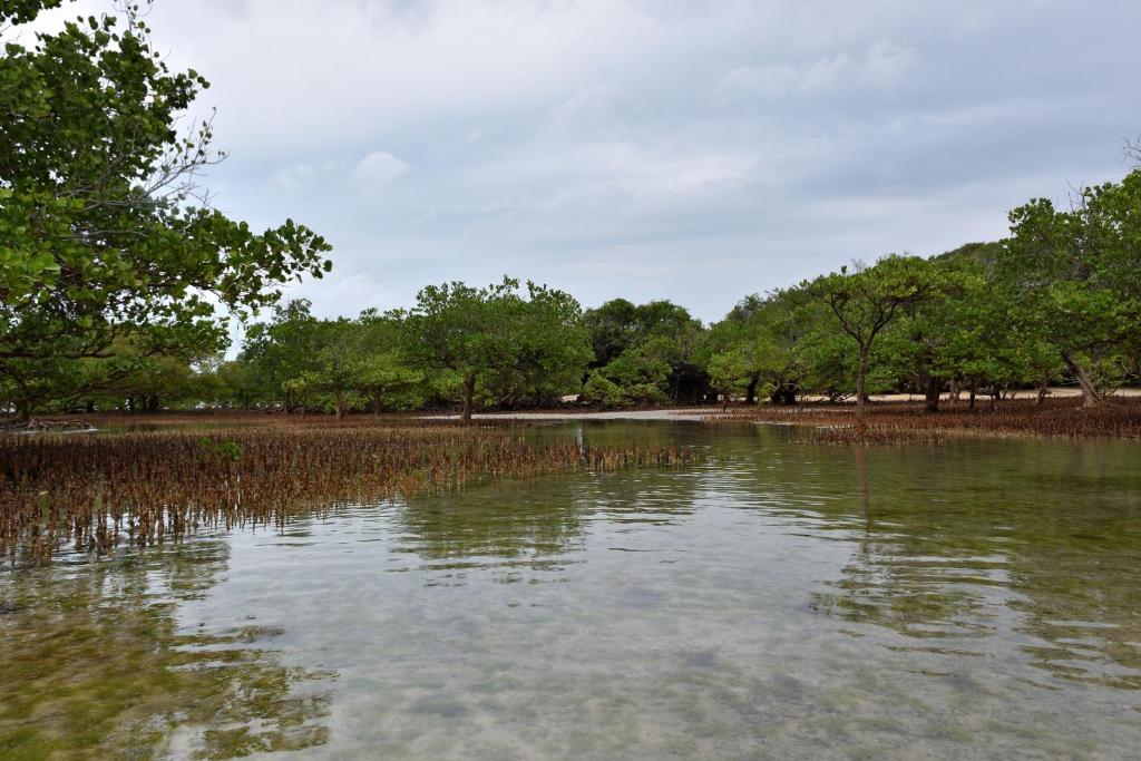 Bahari Pori Resort photo 3