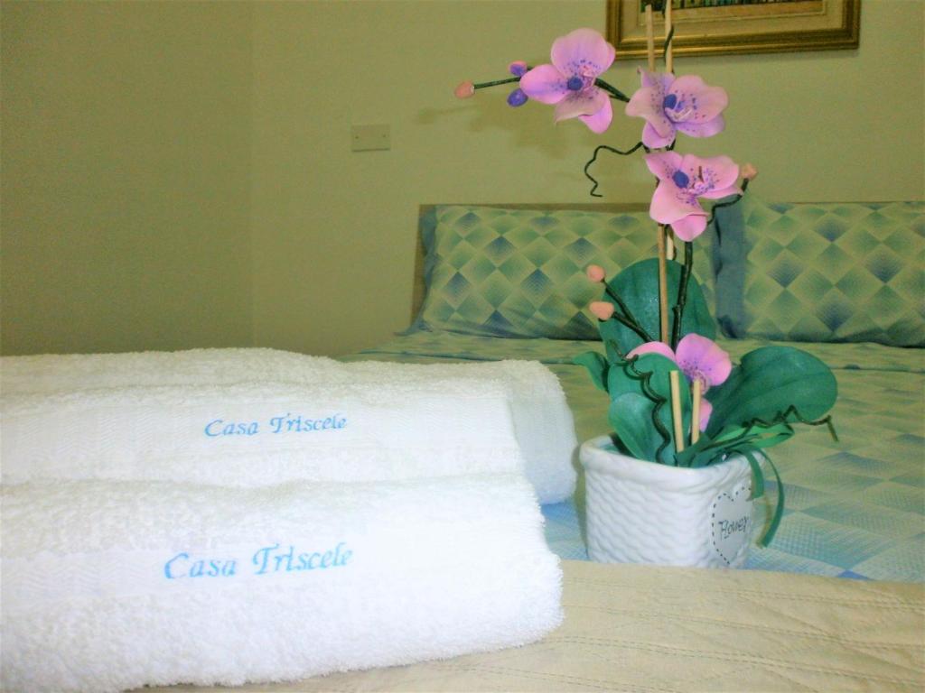 Casa Vacanze Triscele photo 1