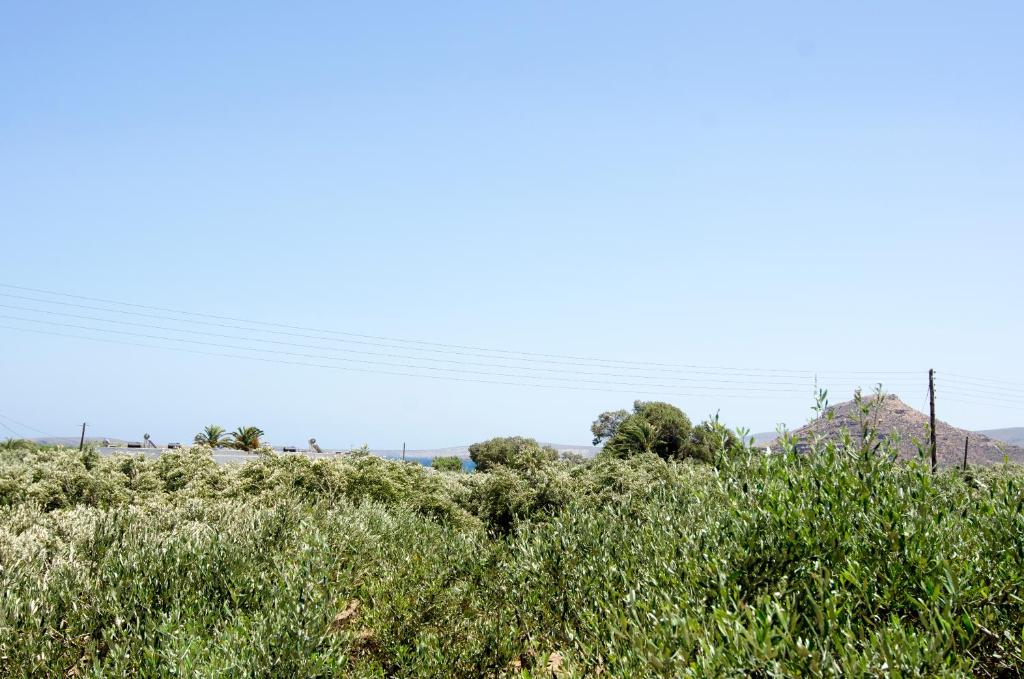 Giorgos villa photo 4