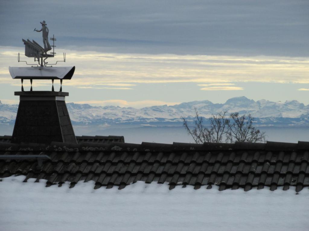 Ferienhaus Waidmanns-Heil photo 1
